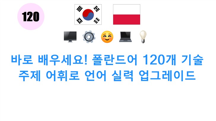 바로 배우세요! 폴란드어 120개 기술 주제 어휘로 언어 실력 업그레이드